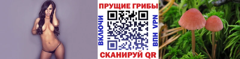Псилоцибиновые грибы Cubensis  где купить наркотик  Кремёнки 